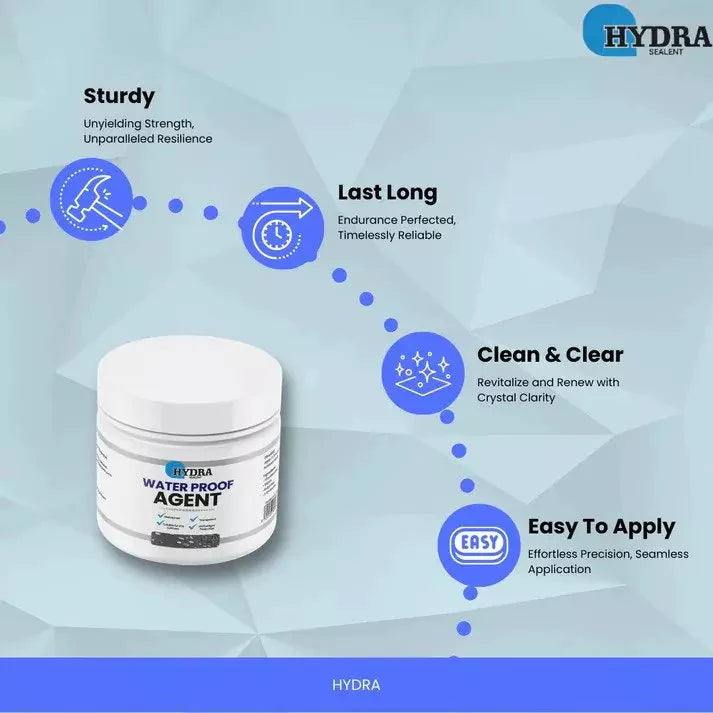 Hydra Sealant Water Proof Agent 300g  With Brush  - (FREE Delivery) Digitalshoper