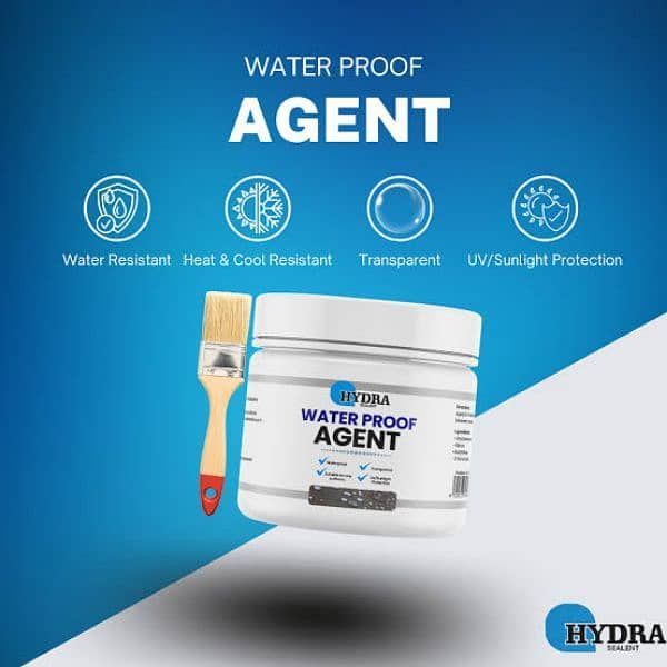 Hydra Sealant Water Proof Agent 300g  With Brush  - (FREE Delivery) Digitalshoper